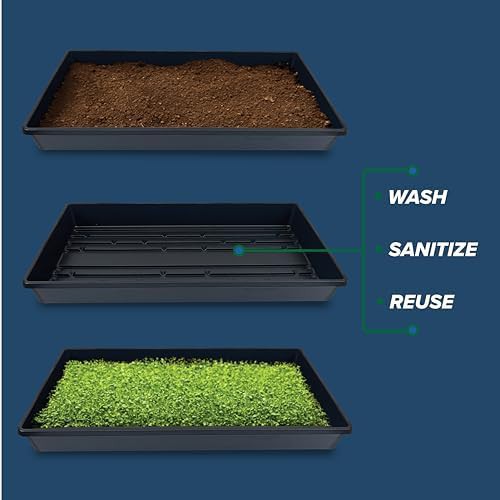 Ten pack seed starter trays without holes — photo 4