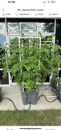 Large deep water culture hydroponic kit — photo 5