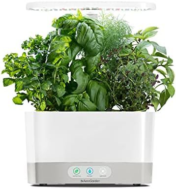White six pod indoor herb garden