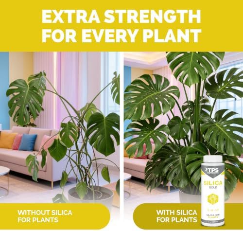 Silica gold plant strength nutrient supplement — photo 3