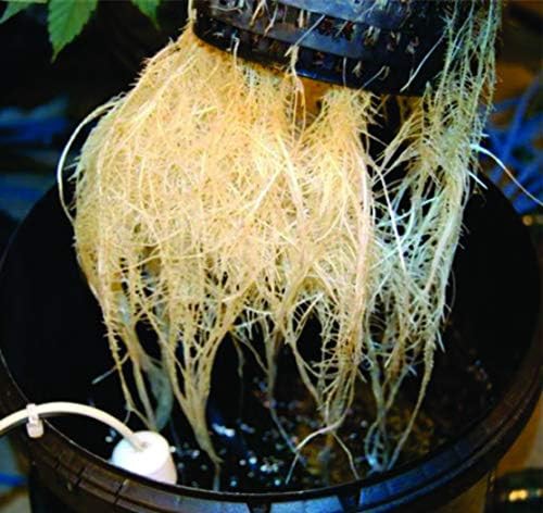 Standard AC powered deep water culture system — photo 4