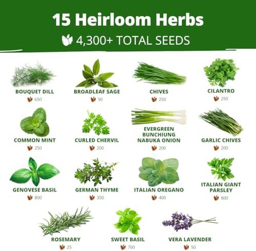 Culinary herb variety kit with fifteen seeds — photo 3