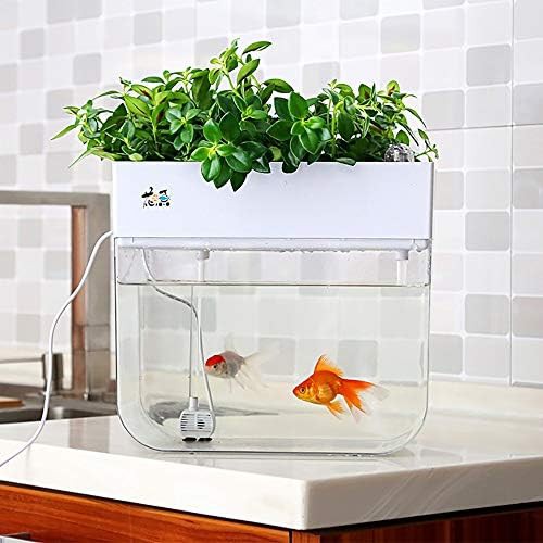Aquaponic fish tank and sprouter tray — photo 5