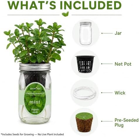 Self watering mason jar mint garden — photo 3