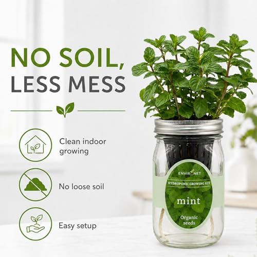Self watering mason jar mint garden — photo 4
