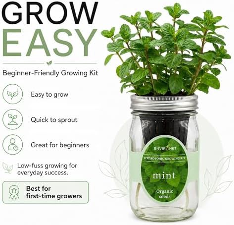 Self watering mason jar mint garden — photo 5