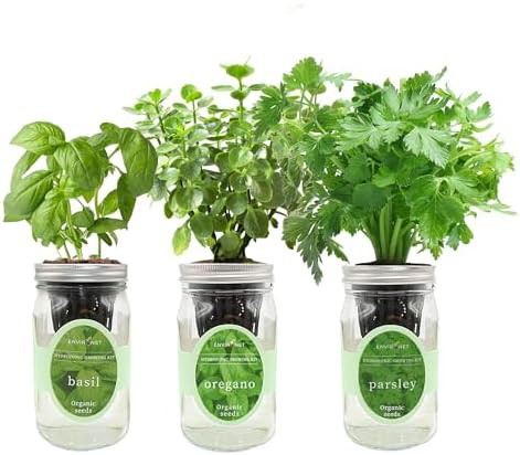 Basil parsley and oregano jar set