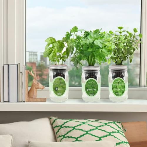 Basil parsley and oregano jar set — photo 4