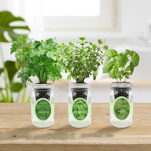 Basil parsley and oregano jar set — photo 5