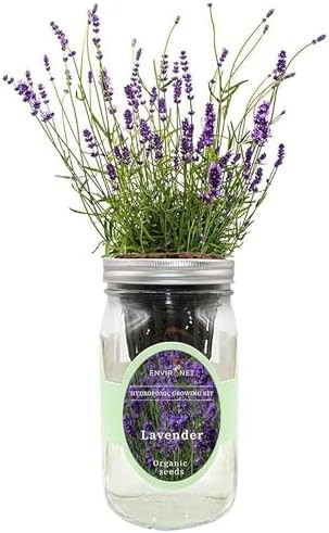 Self watering mason jar lavender garden