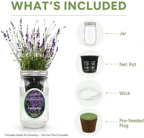 Self watering mason jar lavender garden — photo 3
