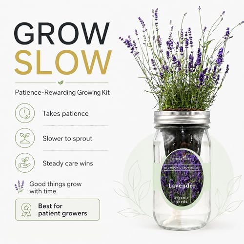Self watering mason jar lavender garden — photo 4