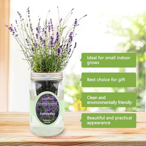 Self watering mason jar lavender garden — photo 5
