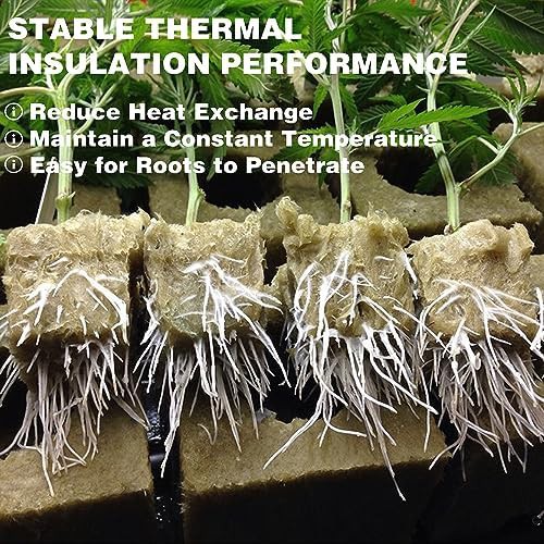 Rockwool planting cubes for seed germination — photo 5