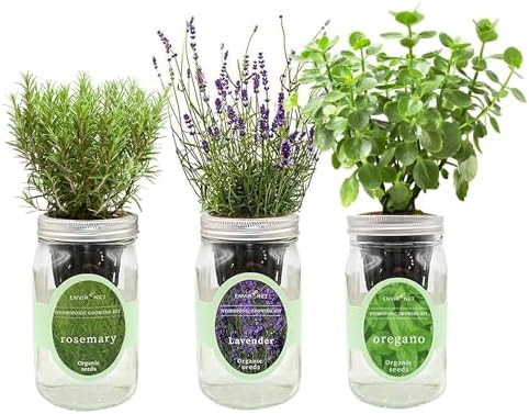 Rosemary lavender and oregano jar set