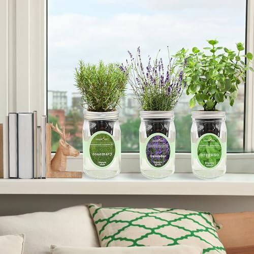 Rosemary lavender and oregano jar set — photo 4