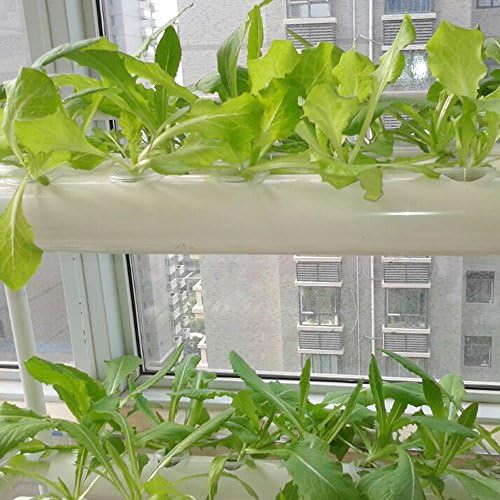 Two layer fifty four site growing system — photo 4