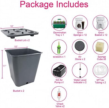 Two bucket DWC system with pump — photo 4