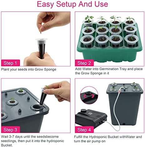 Four bucket DWC system with pump — photo 5