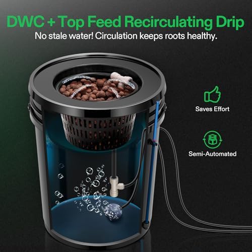 Eight bucket DWC with top drip — photo 4