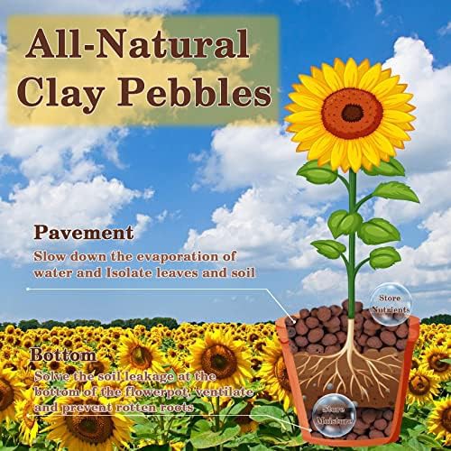 Two pound bag of leca clay pebbles — photo 3