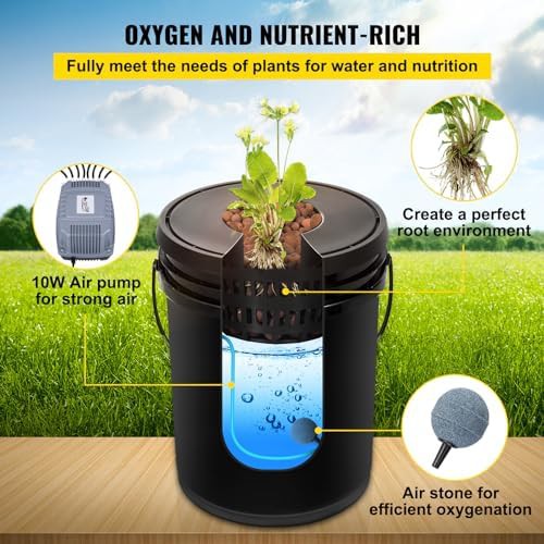 Five gallon black deep water culture system — photo 5