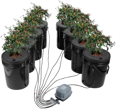 Eight bucket deep water culture system