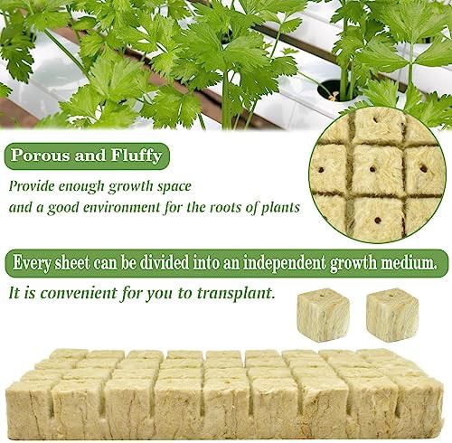 One point two inch rockwool cubes — photo 4