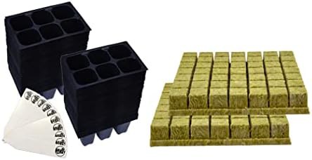 Large cell count tray with rockwool cubes
