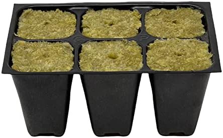 Large cell count tray with rockwool cubes — photo 4