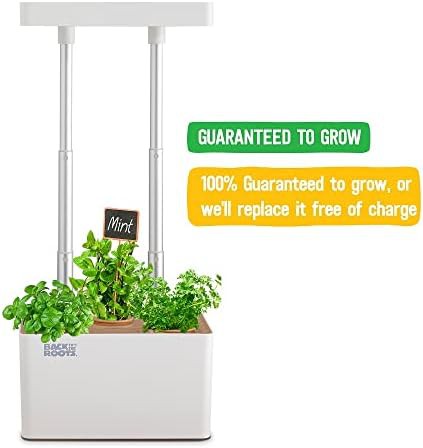 Hydroponic grow kit with LED light — photo 4