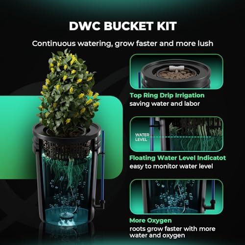 Dual bucket deep water culture system — photo 3