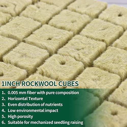 Rockwool grow cubes with two inch net pots — photo 4