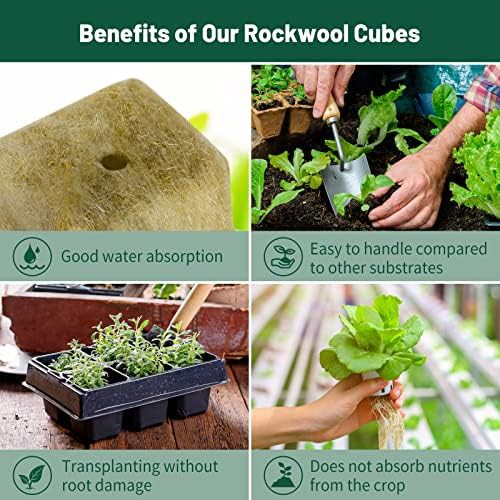 Rockwool cubes and net pots propagation set — photo 4