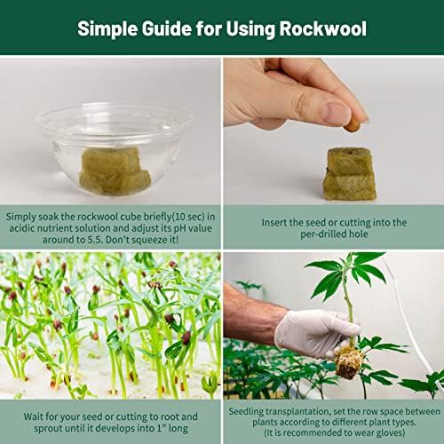 Rockwool cubes and net pots propagation set — photo 5
