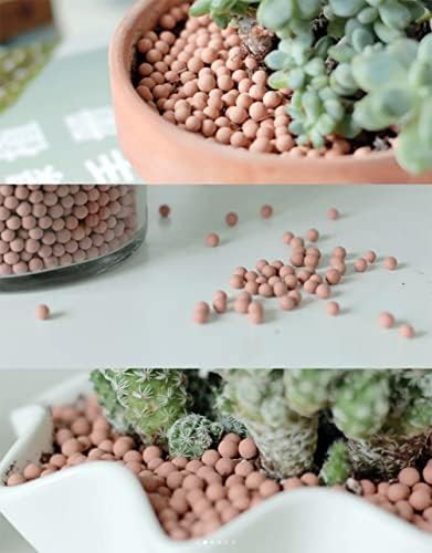 Small clay pebbles for succulent media — photo 5