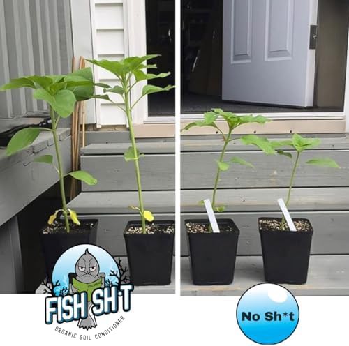 Organic fish based soil and plant conditioner — photo 4