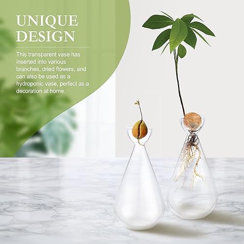 Droplet shaped glass avocado seed starter — photo 3