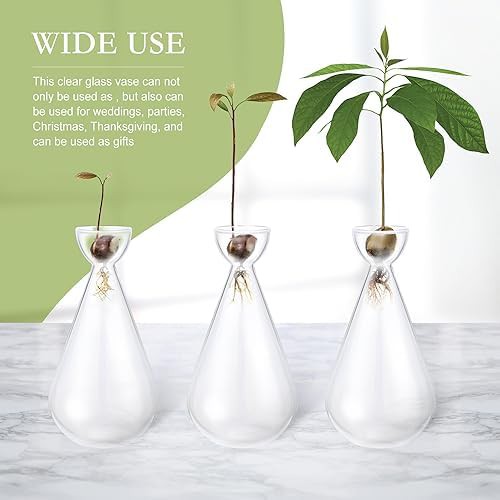 Droplet shaped glass avocado seed starter — photo 4