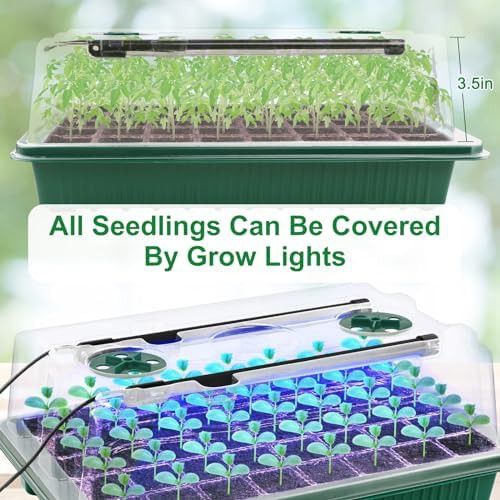 Eighty cell white seed starter kit — photo 5