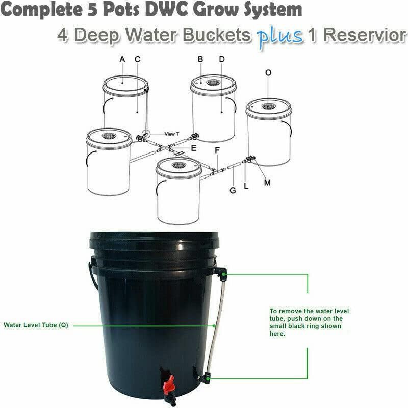 Five bucket deep water culture system — photo 5