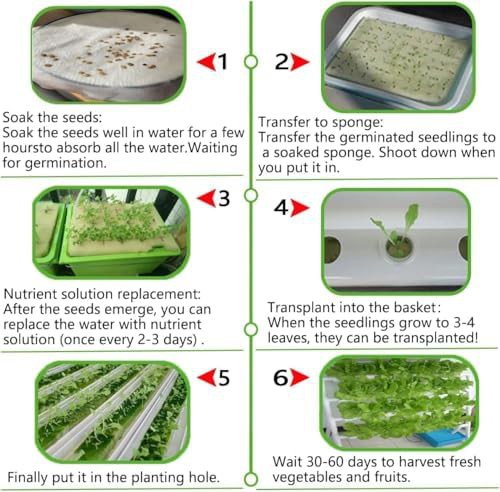 Two layer twenty hole hydroponic grow kit — photo 5