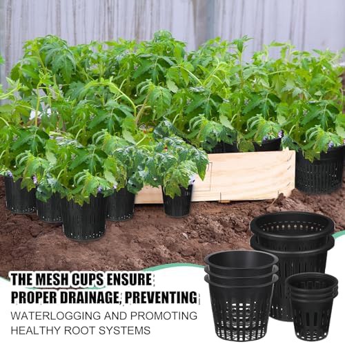 Assorted black plastic net pots for orchids — photo 4