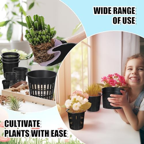 Assorted black plastic net pots for orchids — photo 5