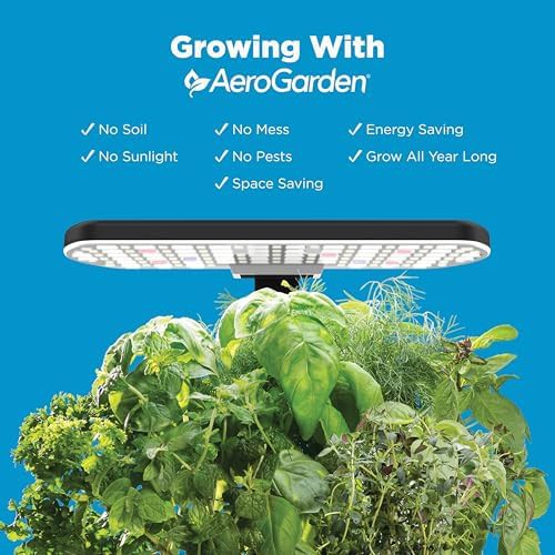 Black harvest lite indoor herb garden — photo 4