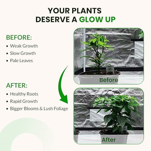 Extra large hydroponic nutrient and fertilizer kit — photo 5