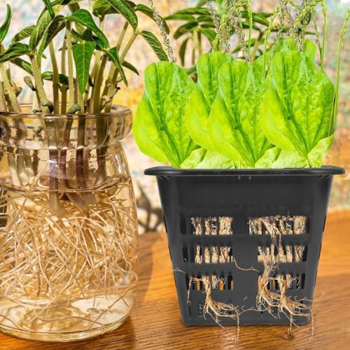 Square slotted mesh net planting cups — photo 4