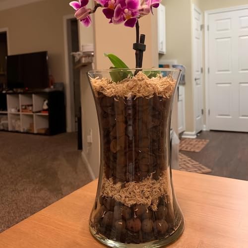 Natural expanded clay pebbles for orchids — photo 4