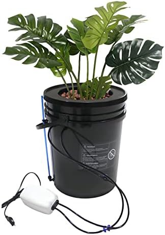 Five gallon deep water culture drip system