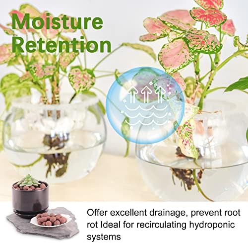 Premium clay pebbles for orchids — photo 3